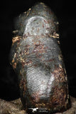 05299 - Taza (NWA 859) Iron Ungrouped Plessitic Octahedrite Meteorite 0.4g ORIENTED