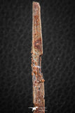 07077 - Museum Grade 3.48 Inch Alanqa saharica Cretaceous Azhdarchid Pterosaur Dentary Bone