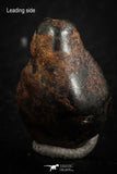 07106 - Taza (NWA 859) Iron Ungrouped Plessitic Octahedrite Meteorite 6.3g ORIENTED