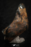 07106 - Taza (NWA 859) Iron Ungrouped Plessitic Octahedrite Meteorite 6.3g ORIENTED
