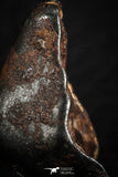 07106 - Taza (NWA 859) Iron Ungrouped Plessitic Octahedrite Meteorite 6.3g ORIENTED