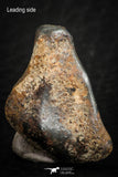 07107 - Taza (NWA 859) Iron Ungrouped Plessitic Octahedrite Meteorite 5.1g ORIENTED