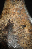 07107 - Taza (NWA 859) Iron Ungrouped Plessitic Octahedrite Meteorite 5.1g ORIENTED