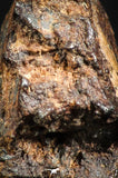 07108 - Taza (NWA 859) Iron Ungrouped Plessitic Octahedrite Meteorite 4.5g ORIENTED