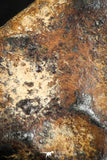 07109 - Taza (NWA 859) Iron Ungrouped Plessitic Octahedrite Meteorite 5.7g
