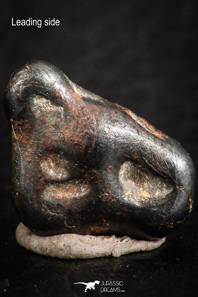 07112 - Taza (NWA 859) Iron Ungrouped Plessitic Octahedrite Meteorite 4.4g ORIENTED