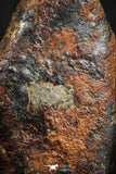 07113 - Taza (NWA 859) Iron Ungrouped Plessitic Octahedrite Meteorite 5.1g