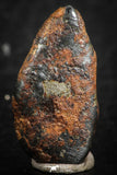 07113 - Taza (NWA 859) Iron Ungrouped Plessitic Octahedrite Meteorite 5.1g