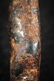 07113 - Taza (NWA 859) Iron Ungrouped Plessitic Octahedrite Meteorite 5.1g