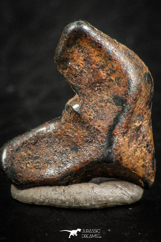 07115 - Taza (NWA 859) Iron Ungrouped Plessitic Octahedrite Meteorite 2.1g