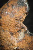 07115 - Taza (NWA 859) Iron Ungrouped Plessitic Octahedrite Meteorite 2.1g