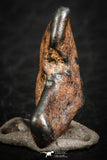 07115 - Taza (NWA 859) Iron Ungrouped Plessitic Octahedrite Meteorite 2.1g