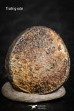 07116 - Taza (NWA 859) Iron Ungrouped Plessitic Octahedrite Meteorite 1.6g ORIENTED