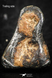 07118 - Taza (NWA 859) Iron Ungrouped Plessitic Octahedrite Meteorite 3.7g ORIENTED