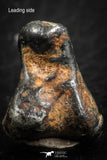 07118 - Taza (NWA 859) Iron Ungrouped Plessitic Octahedrite Meteorite 3.7g ORIENTED