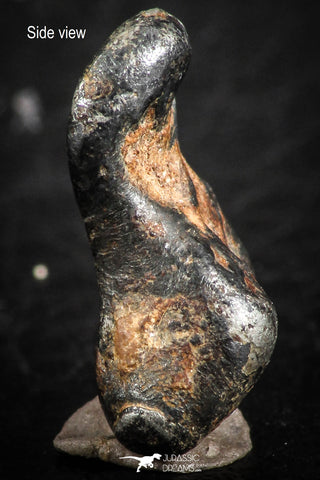 07118 - Taza (NWA 859) Iron Ungrouped Plessitic Octahedrite Meteorite 3.7g ORIENTED