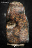 07119 - Taza (NWA 859) Iron Ungrouped Plessitic Octahedrite Meteorite 5.5g ORIENTED