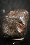 07120 - Fully Complete NWA L-H Type Unclassified Ordinary Chondrite Meteorite 3.9g