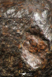 07120 - Fully Complete NWA L-H Type Unclassified Ordinary Chondrite Meteorite 3.9g