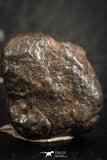 07120 - Fully Complete NWA L-H Type Unclassified Ordinary Chondrite Meteorite 3.9g