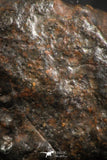 07120 - Fully Complete NWA L-H Type Unclassified Ordinary Chondrite Meteorite 3.9g