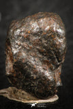 07120 - Fully Complete NWA L-H Type Unclassified Ordinary Chondrite Meteorite 3.9g