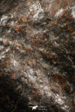 07120 - Fully Complete NWA L-H Type Unclassified Ordinary Chondrite Meteorite 3.9g