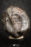07121 - Fully Complete NWA L-H Type Unclassified Ordinary Chondrite Meteorite 5.8g