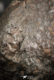 07121 - Fully Complete NWA L-H Type Unclassified Ordinary Chondrite Meteorite 5.8g