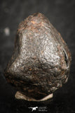 07121 - Fully Complete NWA L-H Type Unclassified Ordinary Chondrite Meteorite 5.8g