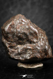 07122 - Fully Complete NWA L-H Type Unclassified Ordinary Chondrite Meteorite 6.0g