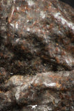 07122 - Fully Complete NWA L-H Type Unclassified Ordinary Chondrite Meteorite 6.0g