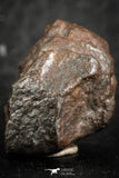 07122 - Fully Complete NWA L-H Type Unclassified Ordinary Chondrite Meteorite 6.0g