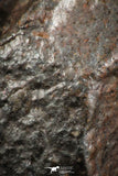 07122 - Fully Complete NWA L-H Type Unclassified Ordinary Chondrite Meteorite 6.0g