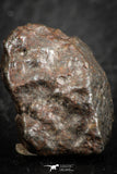 07122 - Fully Complete NWA L-H Type Unclassified Ordinary Chondrite Meteorite 6.0g