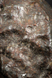 07122 - Fully Complete NWA L-H Type Unclassified Ordinary Chondrite Meteorite 6.0g