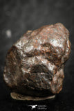 07122 - Fully Complete NWA L-H Type Unclassified Ordinary Chondrite Meteorite 6.0g