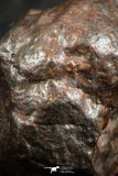 07122 - Fully Complete NWA L-H Type Unclassified Ordinary Chondrite Meteorite 6.0g