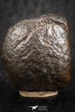 07123 - Fully Complete NWA L-H Type Unclassified Ordinary Chondrite Meteorite 7.0g