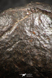 07123 - Fully Complete NWA L-H Type Unclassified Ordinary Chondrite Meteorite 7.0g