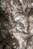 07123 - Fully Complete NWA L-H Type Unclassified Ordinary Chondrite Meteorite 7.0g
