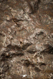 05373 - Partial NWA L-H Type Unclassified Ordinary Chondrite Meteorite 20g