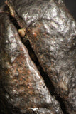 07123 - Fully Complete NWA L-H Type Unclassified Ordinary Chondrite Meteorite 7.0g