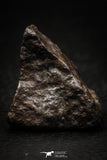 05373 - Partial NWA L-H Type Unclassified Ordinary Chondrite Meteorite 20g