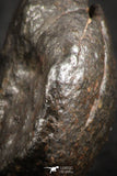 07123 - Fully Complete NWA L-H Type Unclassified Ordinary Chondrite Meteorite 7.0g