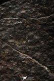 05373 - Partial NWA L-H Type Unclassified Ordinary Chondrite Meteorite 20g