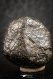 07124 - Fully Complete NWA L-H Type Unclassified Ordinary Chondrite Meteorite 8.1g