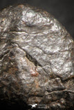 07124 - Fully Complete NWA L-H Type Unclassified Ordinary Chondrite Meteorite 8.1g