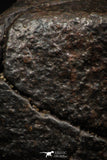 05373 - Partial NWA L-H Type Unclassified Ordinary Chondrite Meteorite 20g