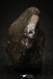 05374 - Partial NWA L-H Type Unclassified Ordinary Chondrite Meteorite 13.3g